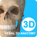 ά3Dֻapp-ά3D v4.5.2 ׿