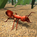 ģios°-Fire Ant SimulatorѰv1.0