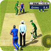 Cricket World Cup GameϷv1.1