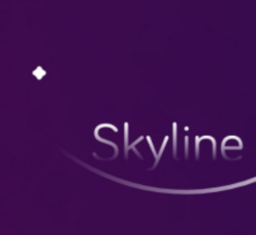 skylineģapp-skylineģֻv0.3