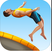 flip master v2.2.1 ޽