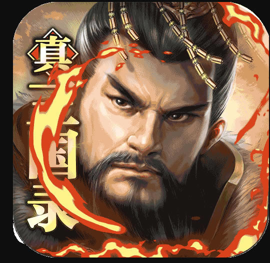 真三国录vivo版-真三国录vivo渠道服下载v3.14.7vivo端