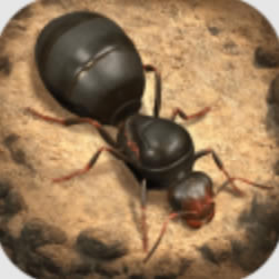 ССϹιٷ-ССϹѰ׿v1.35.0°2022