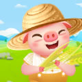 金币养猪场 v1.0 预约