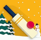 Pytch Cricket��Ϸ����-Pytch Cricket����v1.1.0