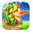 ����������Ϸ����-������������v1.2