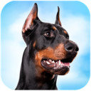 �ű���ģ������Ϸ����-�ű���ģ��������v1.0.3