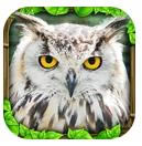 �ռ�èͷӥģ������Ϸ����v1