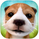 ģ⹷ios-Dog SimulatorƻԽv2.2.3